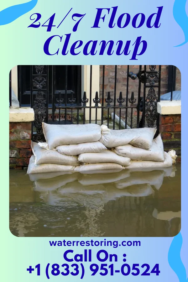 24/7 Flood Cleanup in Twin City, GA