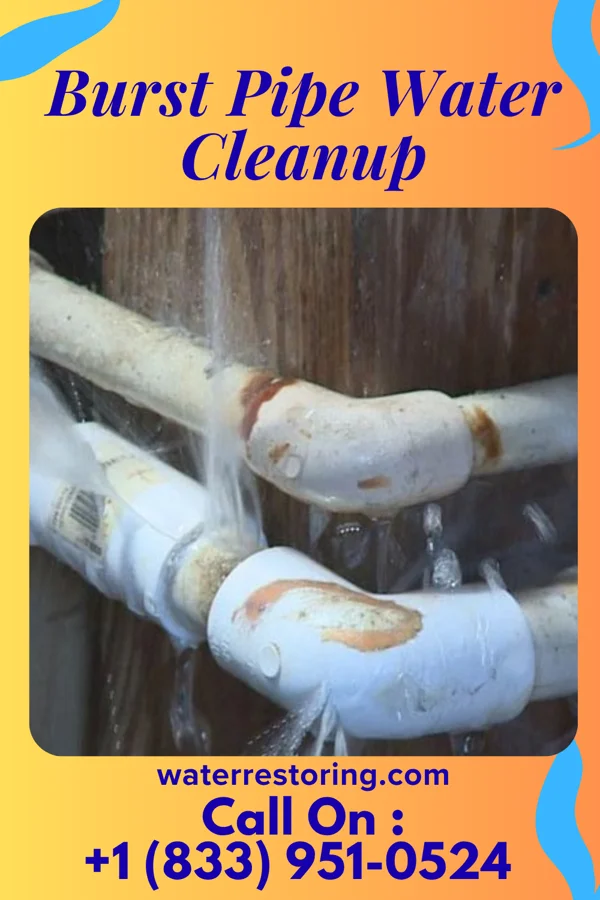 Burst Pipe Water Cleanup in Twin City, GA