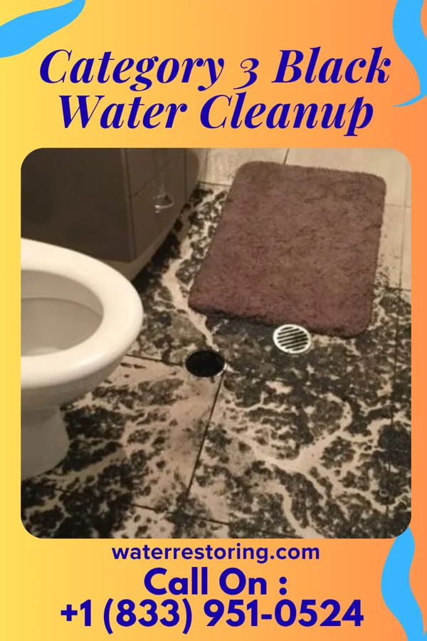 Category 3 Black Water Cleanup in Twin City, GA