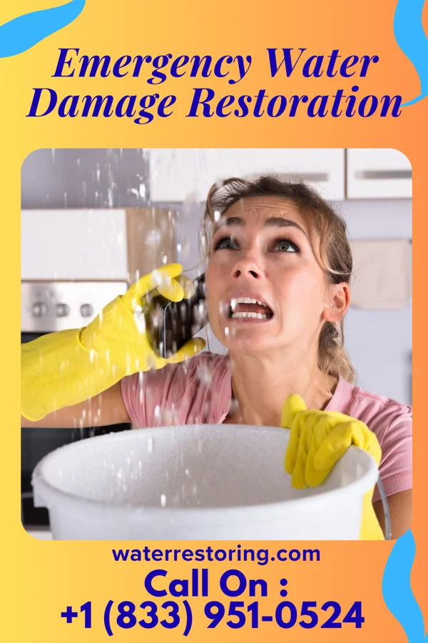 Emergency Water Damage Restoration in Twin City, GA