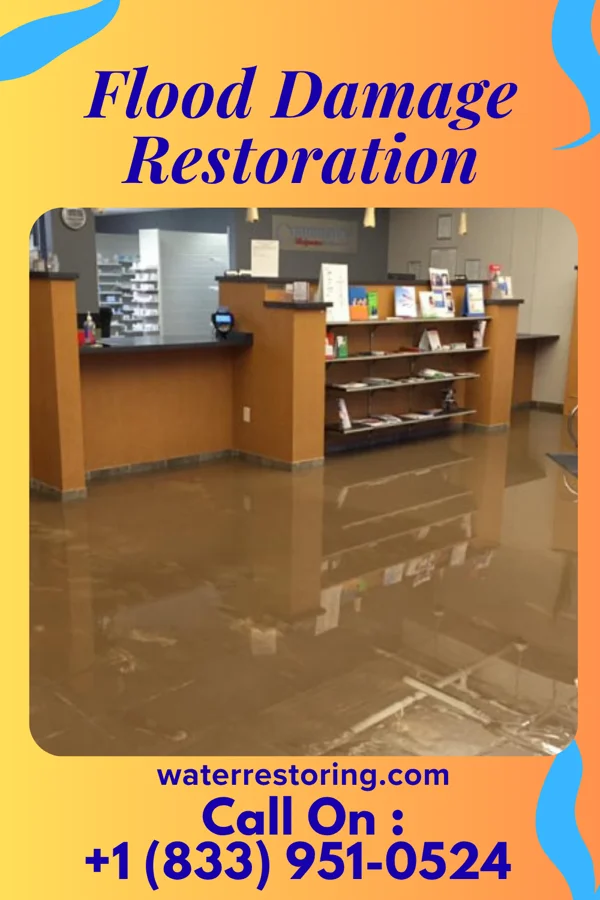 Flood Damage Restoration in Twin City, GA