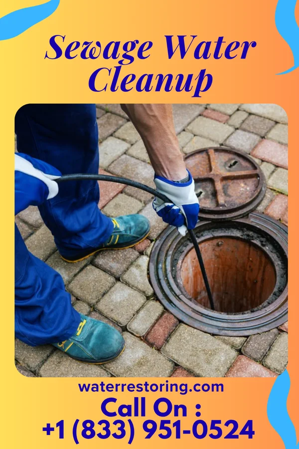 Sewage Water Cleanup in Twin City, GA